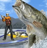 Bass Fishing